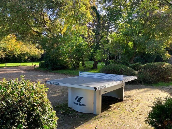 Table tennis in the garden